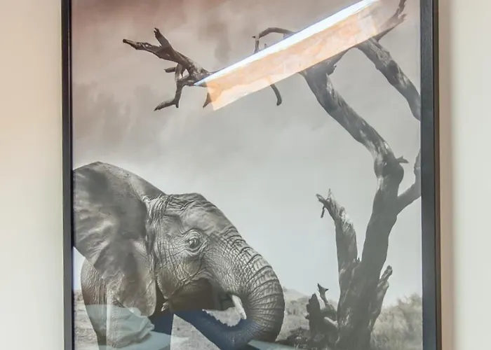 Apartment Cozy Duplex In The Picturesque Graca